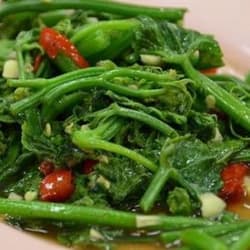 Tumis Pucuk Daun Labu