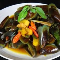 Tumis Kerang Hijau Saus