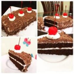 Blackforest Mini