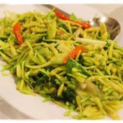 Tumis Bunga Pepaya