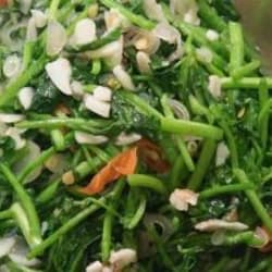 Tumis Selada Air Pedas