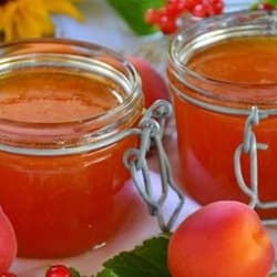 Selai Mangga Homemade Awet Tanpa Bahan Pengawet