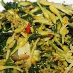 Tumis Daun dan Bunga Pepaya