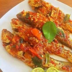 Ikan Garo Rica
