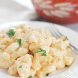 Cheese Macaroni