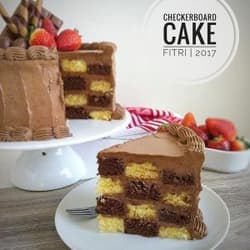 Checkerboard Cake