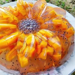 Mango Pudding