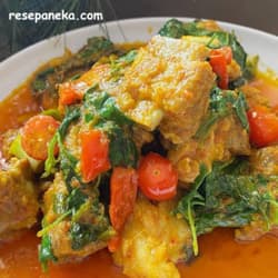 Iga Masak Woku