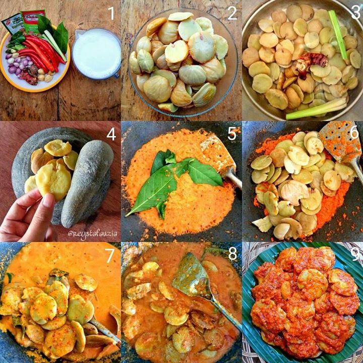 Rendang Jengkol