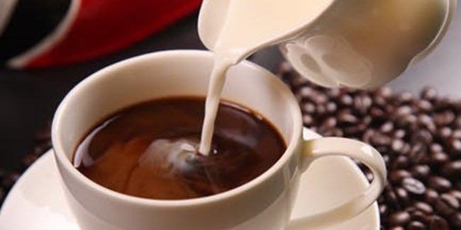 Krimer Kopi Untuk Vegetarian