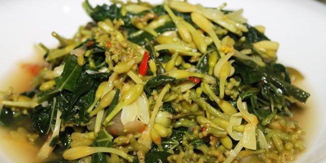 Tumis Daun dan Bunga Pepaya