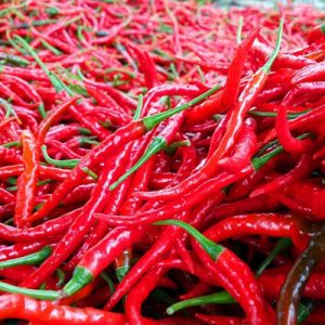 Cabai Merah