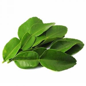 Daun Jeruk
