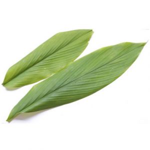 Daun Kunyit
