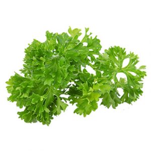 Daun Peterseli