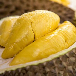 Durian