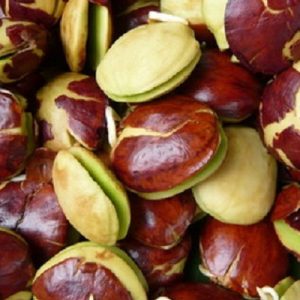 Jengkol
