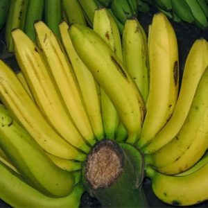 Pisang Ambon