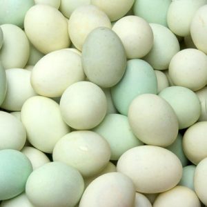 Telur Bebek