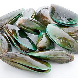 Kerang Hijau