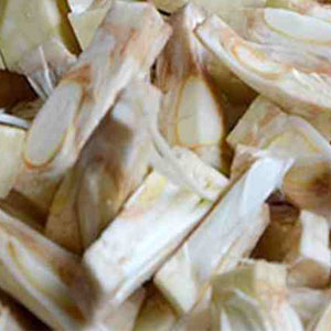 Nangka Muda