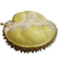 Daging Buah Durian