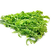 Daun Pakis