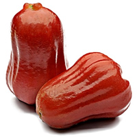 Jambu Air