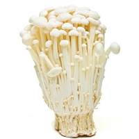 Jamur Enoki
