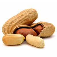 Kacang Tanah