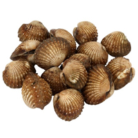 Kerang