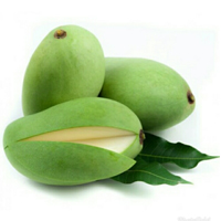 Mangga Muda