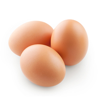 Telur