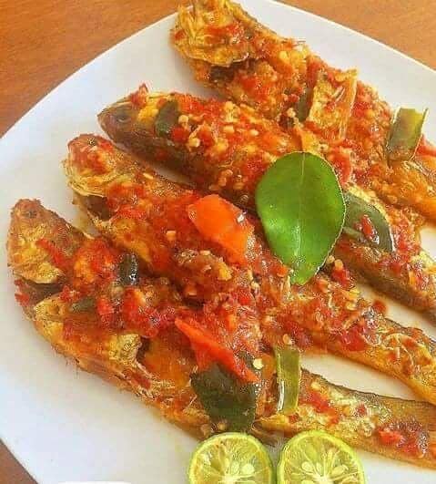 Ikan Garo Rica