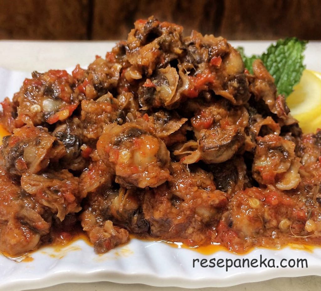 Kerang Bumbu Merah Pedas