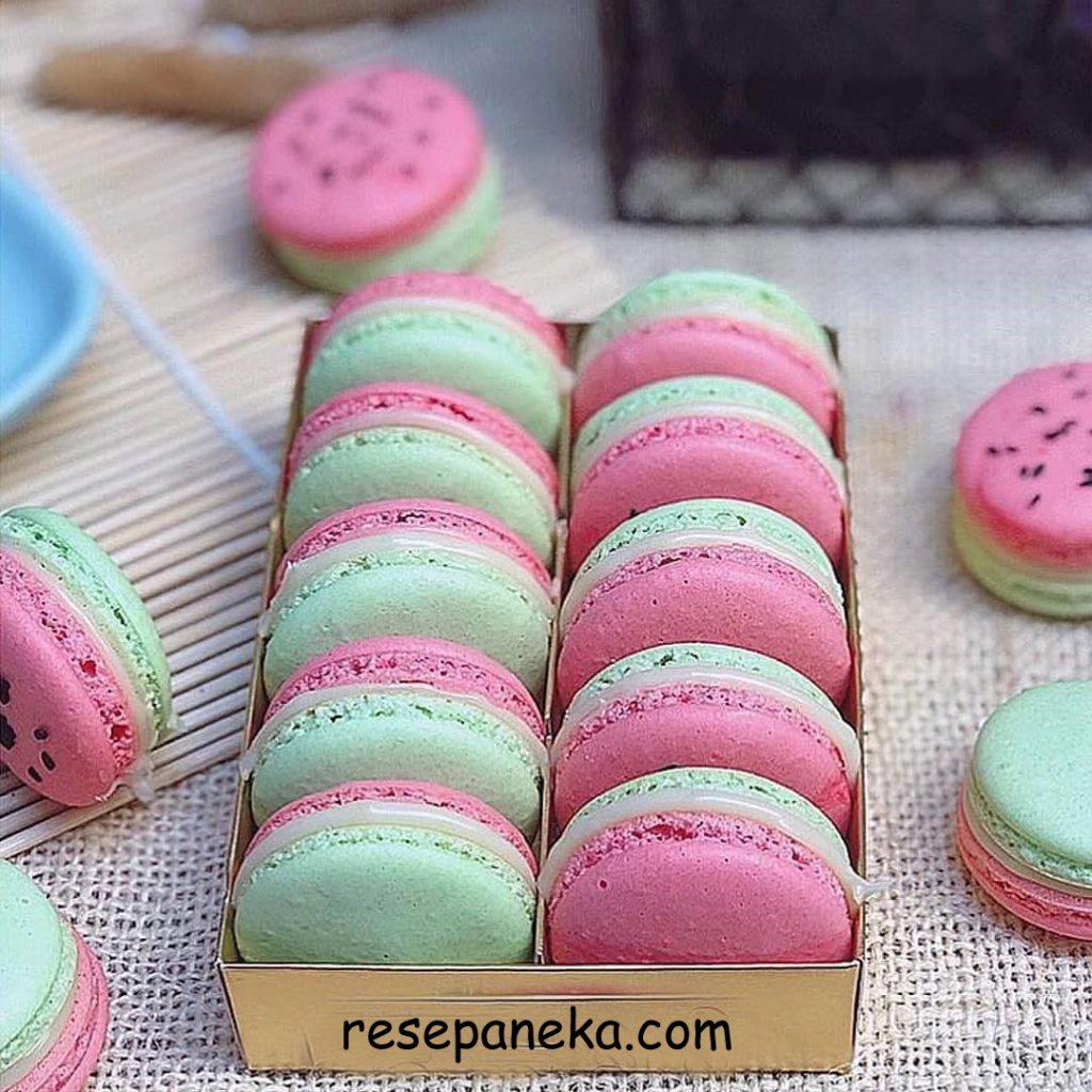 Watermelon Macaron