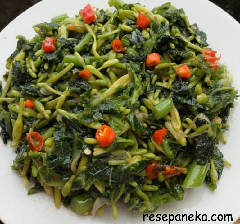 Tumis Bunga Daun Pepaya